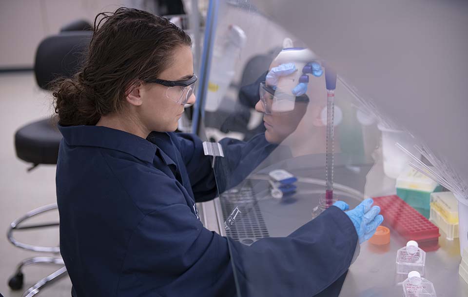 Tissue engineering